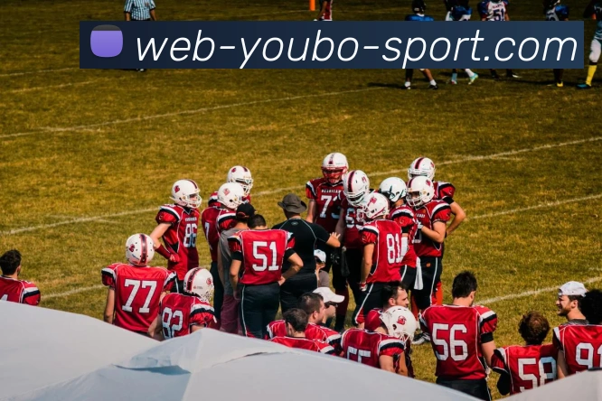 友博体育平台生态图