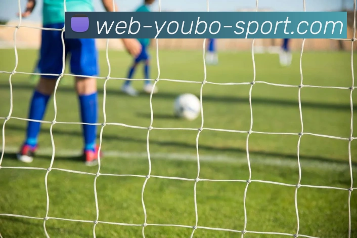 友博体育APP 封面图